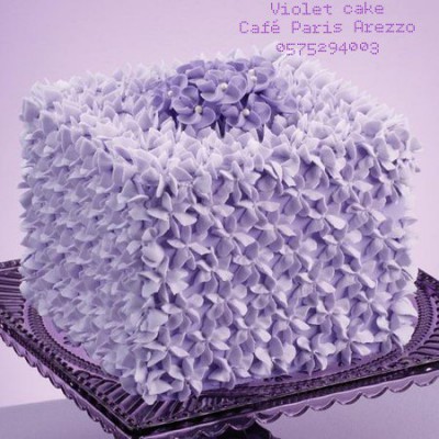  Violet cake 15 pers